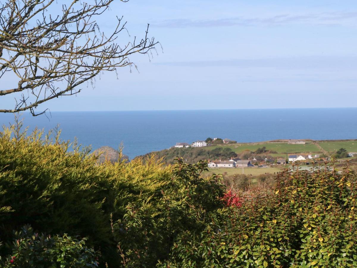 Chilowan Tintagel Kültér fotó